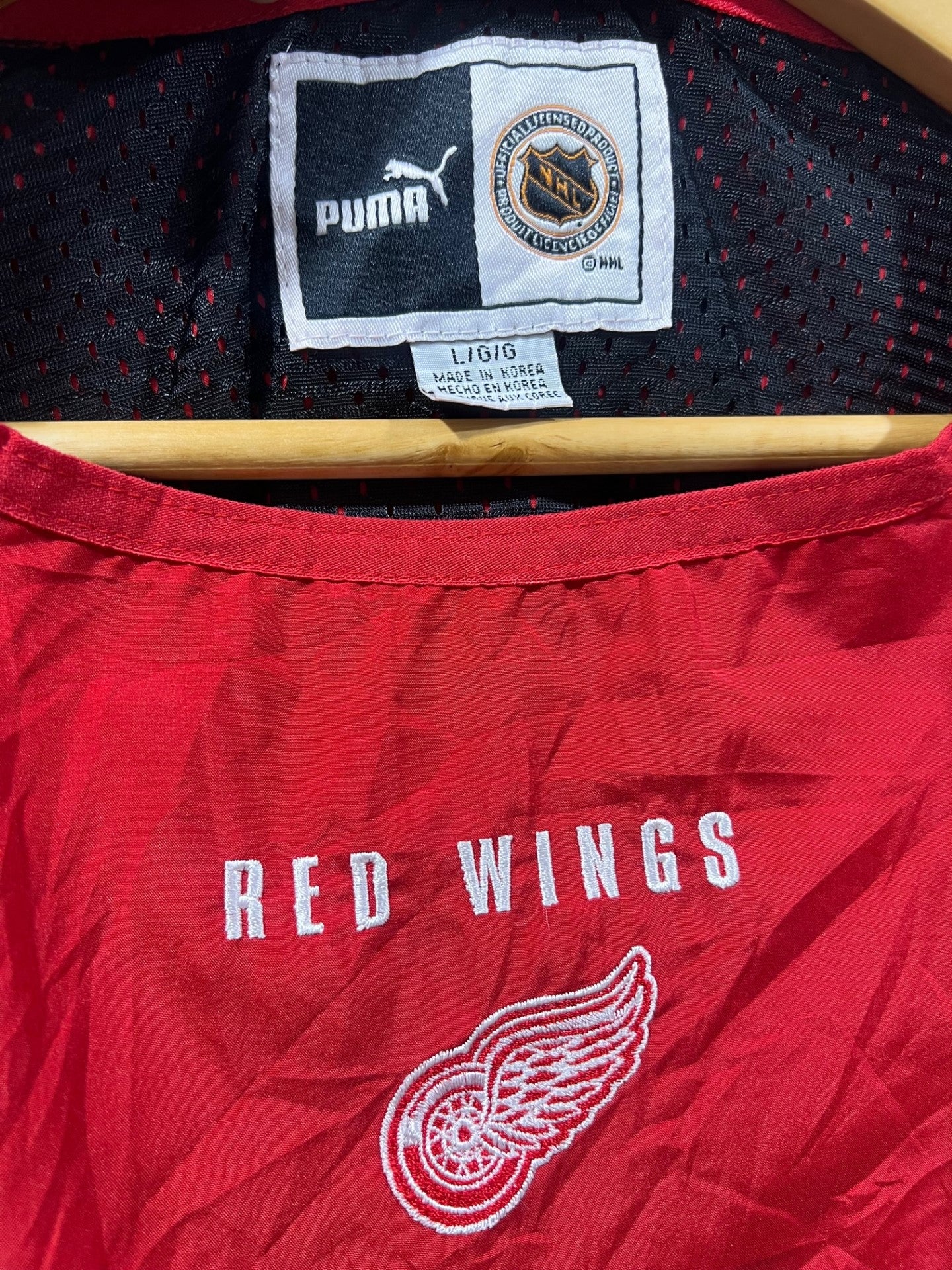 Vintage Detroit Red Wings NHL pullover (L)